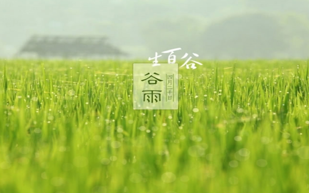 2018谷雨快樂心情說說 谷雨的優(yōu)美句子說說 2018谷雨快樂心情說說 谷雨的優(yōu)美句子說說