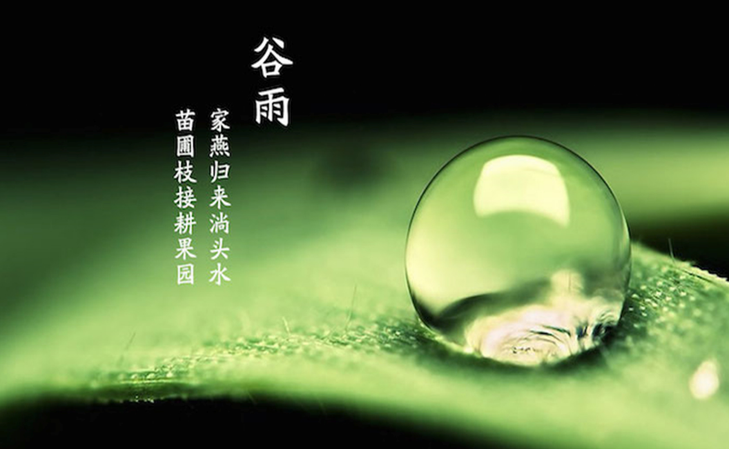 2018谷雨快樂心情說說 谷雨的優(yōu)美句子說說 2018谷雨快樂心情說說 谷雨的優(yōu)美句子說說