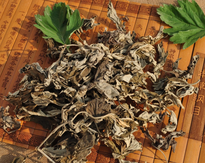 艾草泡腳能去濕氣嗎 用什么泡腳可以去濕氣