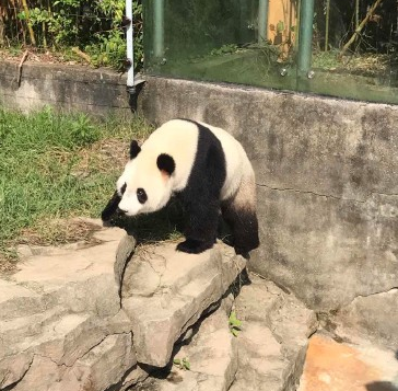 帶孩子逛動物園的說說朋友圈 帶孩子游玩動物園心情感慨