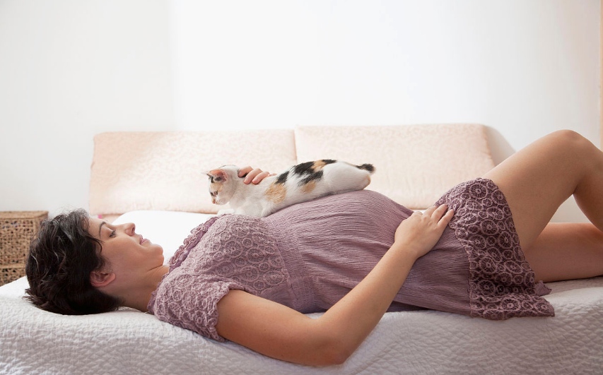 孕期養寵物會感染細菌嗎 懷孕寵物就不能養了嗎