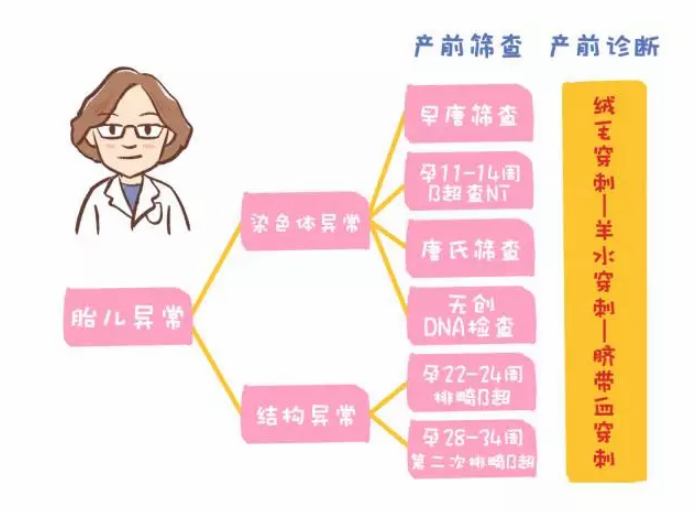 產前檢查的篩畸項目有哪些 孕期篩畸檢查需要做幾次