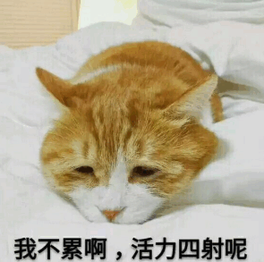 陪孩子做作業累的說說朋友圈 陪孩子寫作業抓狂心情感慨