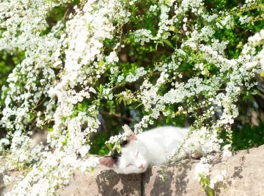 再見四月你好五月圖片2018 你好五月唯美心情說說句子