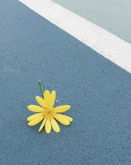 2018再見春天的說說朋友圈 春天再見的早安心語