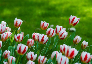 2018再見春天你好夏天的心情說說 2018春天再見夏天你好的感慨句子說說