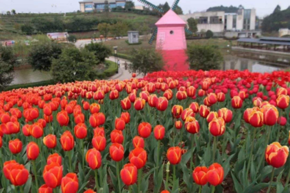 2018再見春天你好夏天的心情說說 2018春天再見夏天你好的感慨句子說說