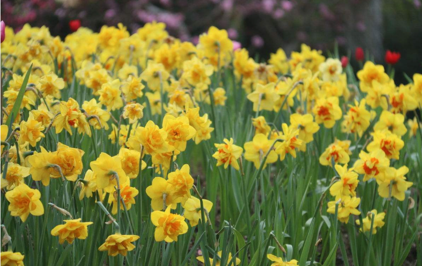 2018再見春天你好夏天的心情說說 2018春天再見夏天你好的感慨句子說說