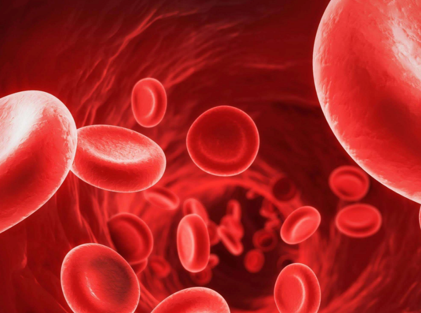 血友病隱性遺傳還是顯性遺傳 血友病能治好嗎