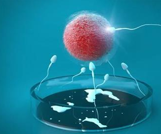 試管嬰兒移植要選擇第幾代 第幾代試管嬰兒最好