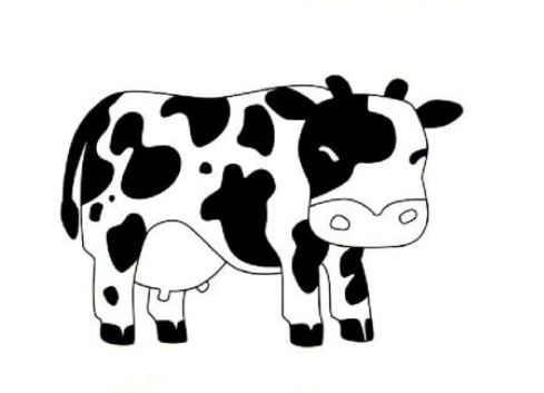 寶寶用黑白卡可以鍛煉視力嗎 寶寶用黑白卡的好處