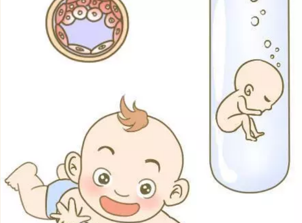 試管嬰兒智商遺傳誰 試管嬰兒比普通孩子更聰明嗎