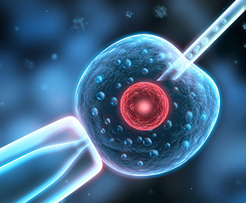 人工授精疼還是試管疼 人工授精和試管嬰兒的區別