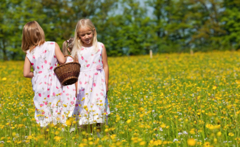帶孩子春游的心情說說 和孩子春游的感慨句子短語