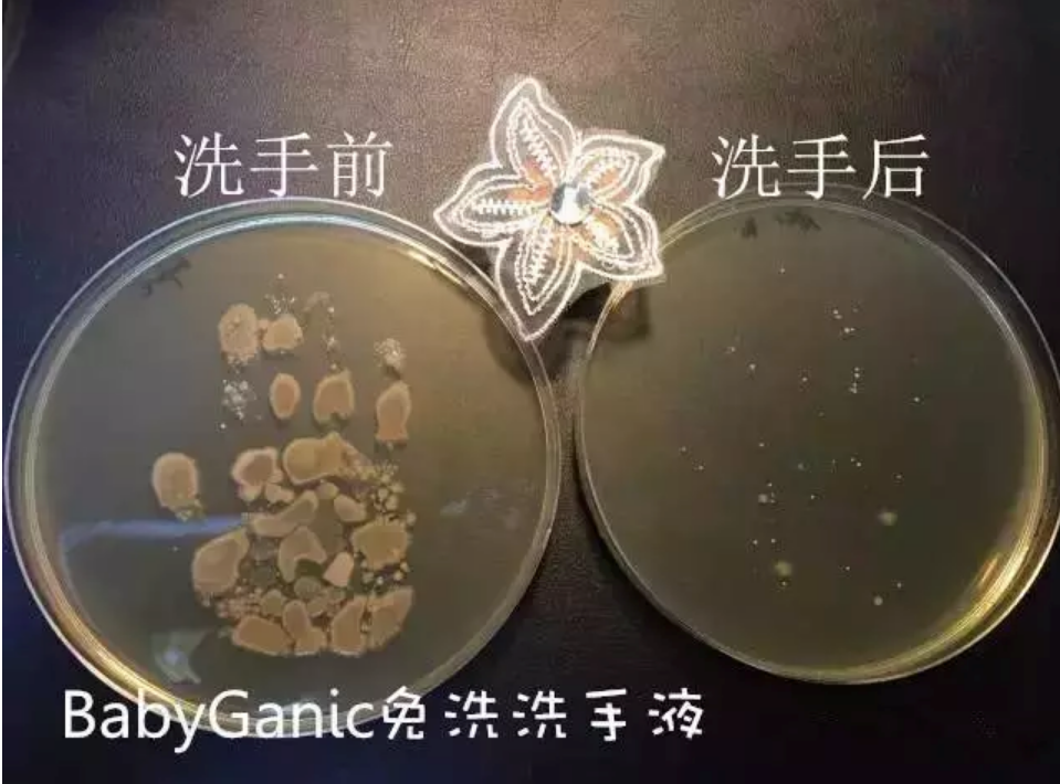 甘尼克寶貝babyganics免洗洗手液寶寶多大可以用 babyganics免洗洗手液好不好