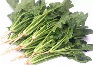 孩子吃什么對眼睛好 哪些食物對孩子的視力有幫助2018