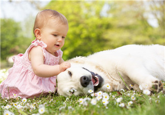 寶寶一周歲朋友圈感言 寶寶一周歲心情說說配圖