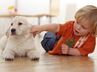 寶寶一周歲朋友圈感言 寶寶一周歲心情說說配圖