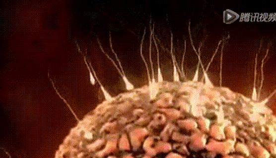 稽留流產后備孕做哪些2019 胎停稽留流產后生男寶經驗