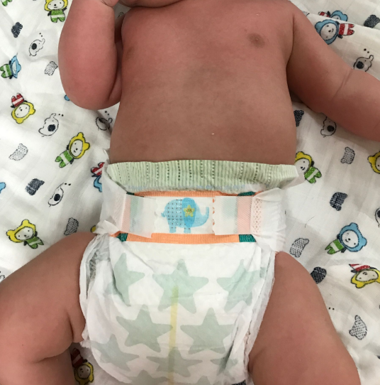 幫寶適紫幫雀氏花王哪個好 日本紫幫和日本花王對比測評