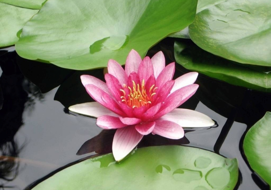 五月你好請對我好點的句子大全2018 四月再見五月你好心情說說朋友圈