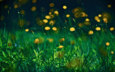 五月你好請對我好點的句子大全2018 四月再見五月你好心情說說朋友圈