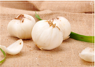 百合沒有煮熟能吃嗎 吃了沒煮熟的百合怎么辦