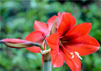 2018期待五月帶圖的心情說說 期待五月唯美配圖祝福語朋友圈 2018期待五月帶圖的心情說說 期待五月唯美配圖祝福語朋友圈