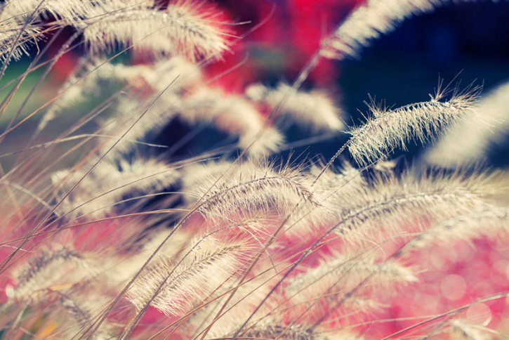 2018五一出游說(shuō)說(shuō)朋友圈 出去旅行發(fā)朋友圈配文