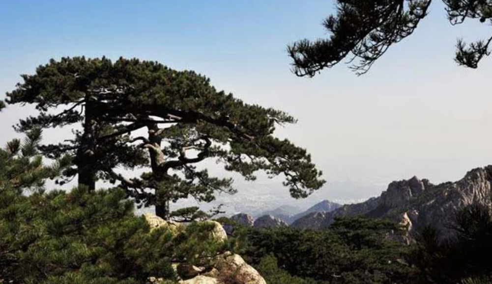 假期帶孩子去曲阜哪些景點值得玩 2018五一帶孩子去曲阜攻略