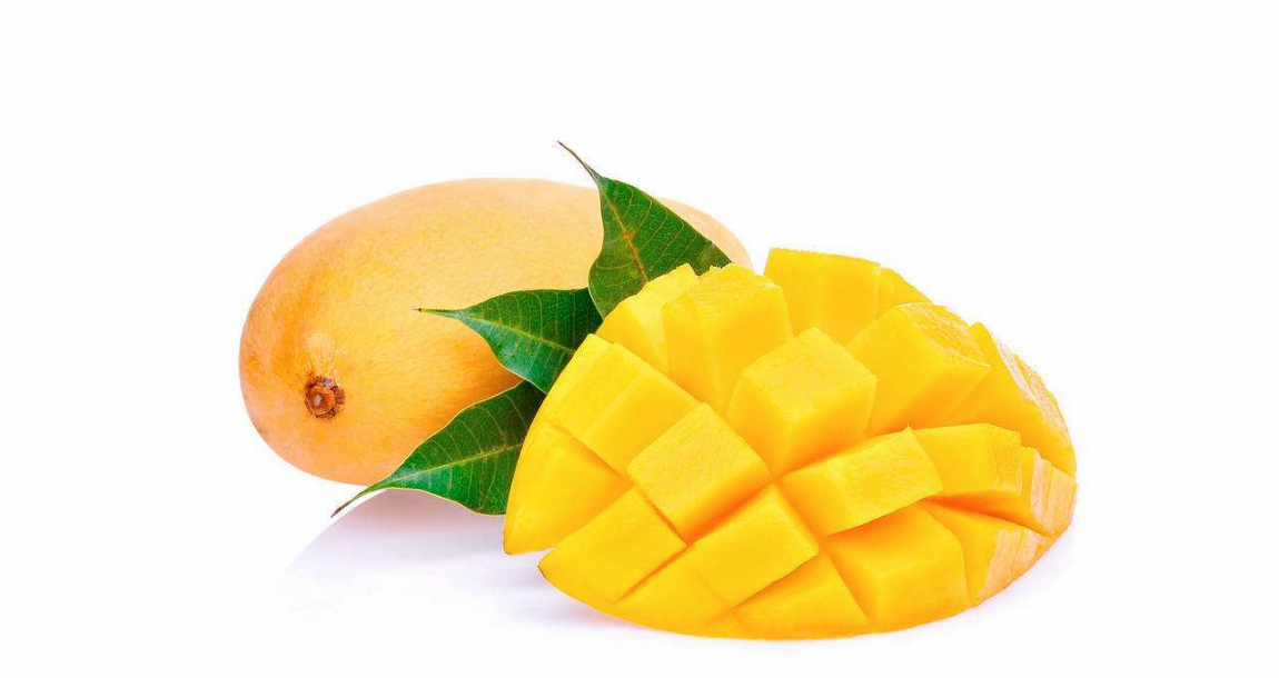 芒果葉可以泡茶喝嗎 芒果葉有什么好處