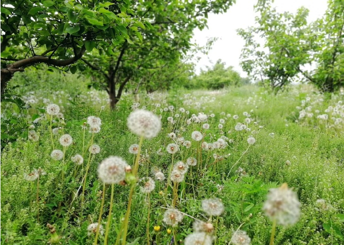 夏天快來(lái)了說(shuō)說(shuō) 關(guān)于夏天來(lái)了的說(shuō)說(shuō)朋友圈感慨2018 夏天快來(lái)了說(shuō)說(shuō) 關(guān)于夏天來(lái)了的說(shuō)說(shuō)朋友圈感慨2018