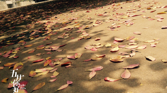 夏天快來(lái)了說(shuō)說(shuō) 關(guān)于夏天來(lái)了的說(shuō)說(shuō)朋友圈感慨2018 夏天快來(lái)了說(shuō)說(shuō) 關(guān)于夏天來(lái)了的說(shuō)說(shuō)朋友圈感慨2018