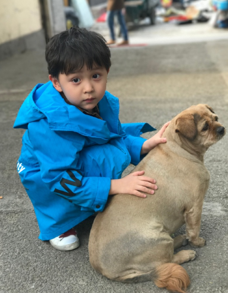 媽媽是超人大麟子外公求生欲 尊重女性熱愛家庭團結高于一切