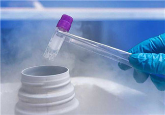 宮頸粘連可以做試管嬰兒嗎 宮頸粘連會不會影響試管成功率