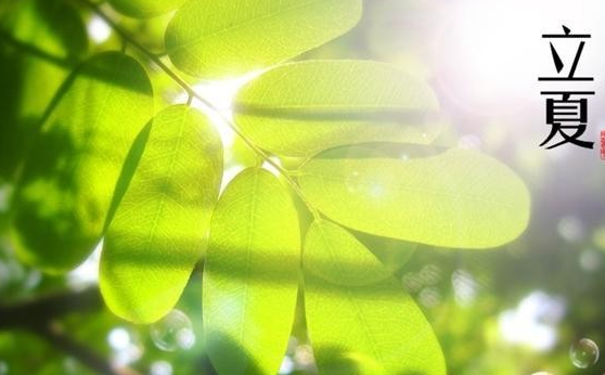 2018立夏快樂的說說朋友圈 立夏快樂早安心語