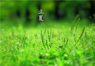 立夏給孩子吃什么好 立夏養生吃什么水果