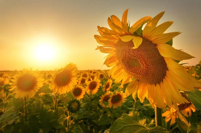 導(dǎo)致孩子聽(tīng)力下降的原因是什么 如何避免孩子聽(tīng)力下降2018