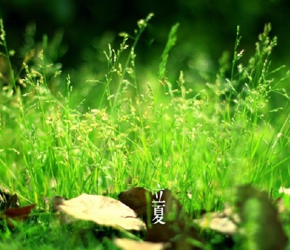 2018立夏微信朋友圈問(wèn)候語(yǔ) 立夏快樂(lè)祝福語(yǔ)說(shuō)說(shuō)心情 2018立夏微信朋友圈問(wèn)候語(yǔ) 立夏快樂(lè)祝福語(yǔ)說(shuō)說(shuō)心情