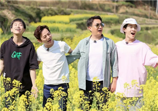 何炅在哪里給謝娜買土雞蛋 怎么區分土雞蛋和洋雞蛋