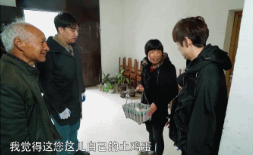 何炅在哪里給謝娜買土雞蛋 怎么區分土雞蛋和洋雞蛋