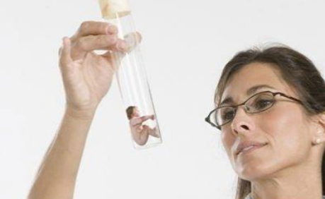 試管嬰兒胚胎移植后多少天為預(yù)產(chǎn)期2018 試管嬰兒預(yù)產(chǎn)期怎么計(jì)算