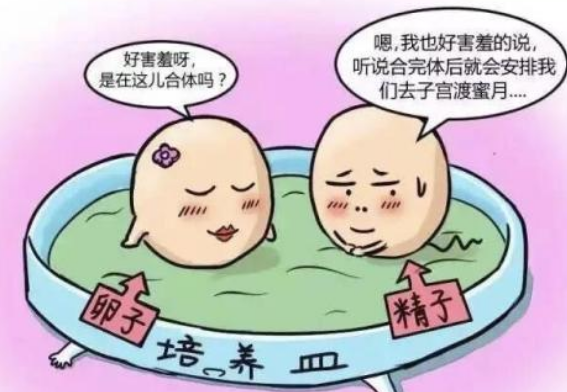 做試管嬰兒會不會出現宮外孕 宮外孕和試管嬰兒有關系嗎2018
