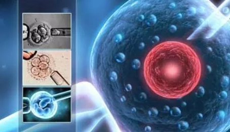 促排卵藥物后肚子脹正常嗎 女性排卵腹痛的主要原因 促排卵藥物后肚子脹正常嗎 女性排卵腹痛的主要原因