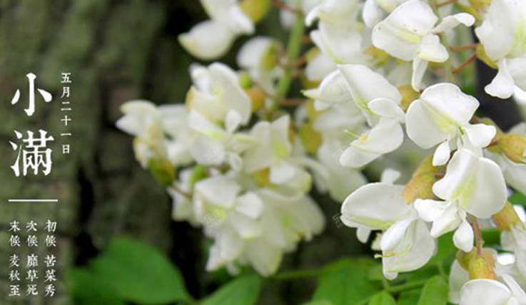 小滿養生吃什么好 小滿養生的注意事項2018