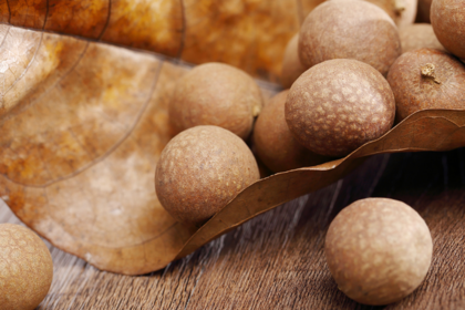 人流后可以吃桂圓嗎人流后吃桂圓有什么好處