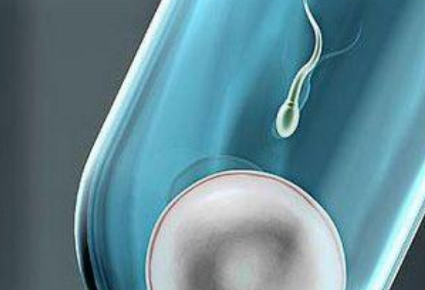 試管嬰兒男方精子畸形率怎么辦2018 試管嬰兒以后生的寶寶會畸形嗎