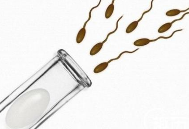 試管嬰兒治療前要做哪些檢查 試管嬰兒治療前男方女方檢查方案 試管嬰兒治療前要做哪些檢查 試管嬰兒治療前男方女方檢查方案