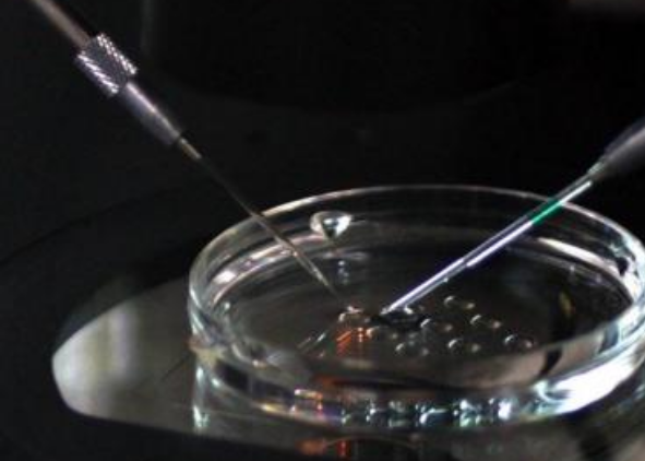 絕經后女性可以做試管嬰兒嗎 40歲試管嬰兒的成功率多大 絕經后女性可以做試管嬰兒嗎 40歲試管嬰兒的成功率多大