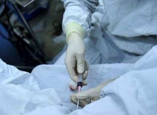 做試管嬰兒胚胎移植后可以上班嗎2018 胚胎移植后需要長時間臥床嗎